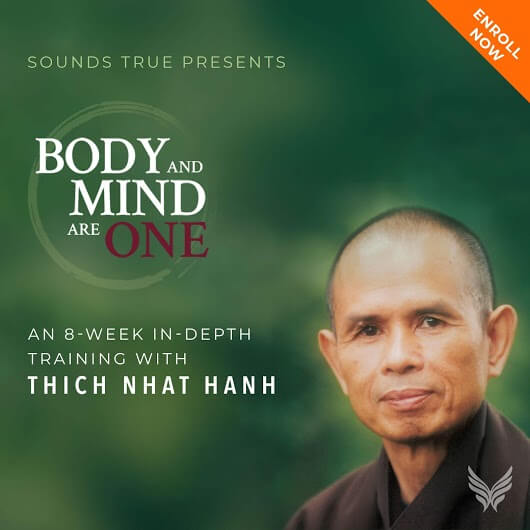 body and mind are one Thich Nhat Hanh